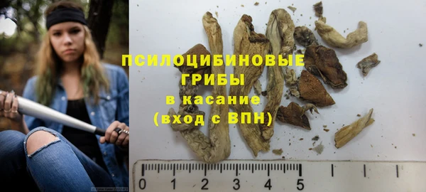 шишки Баксан