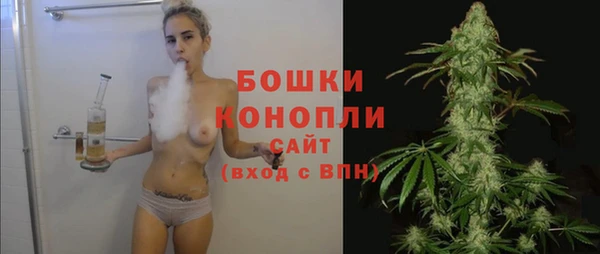 шишки Баксан
