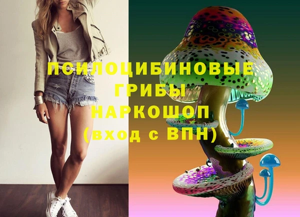 шишки Баксан