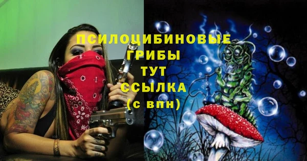 шишки Баксан