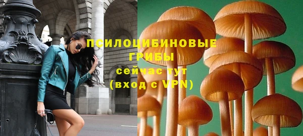 шишки Баксан